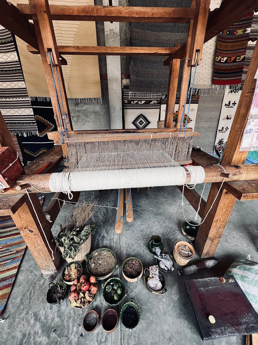 Natural dyes and loom, Teotitlan